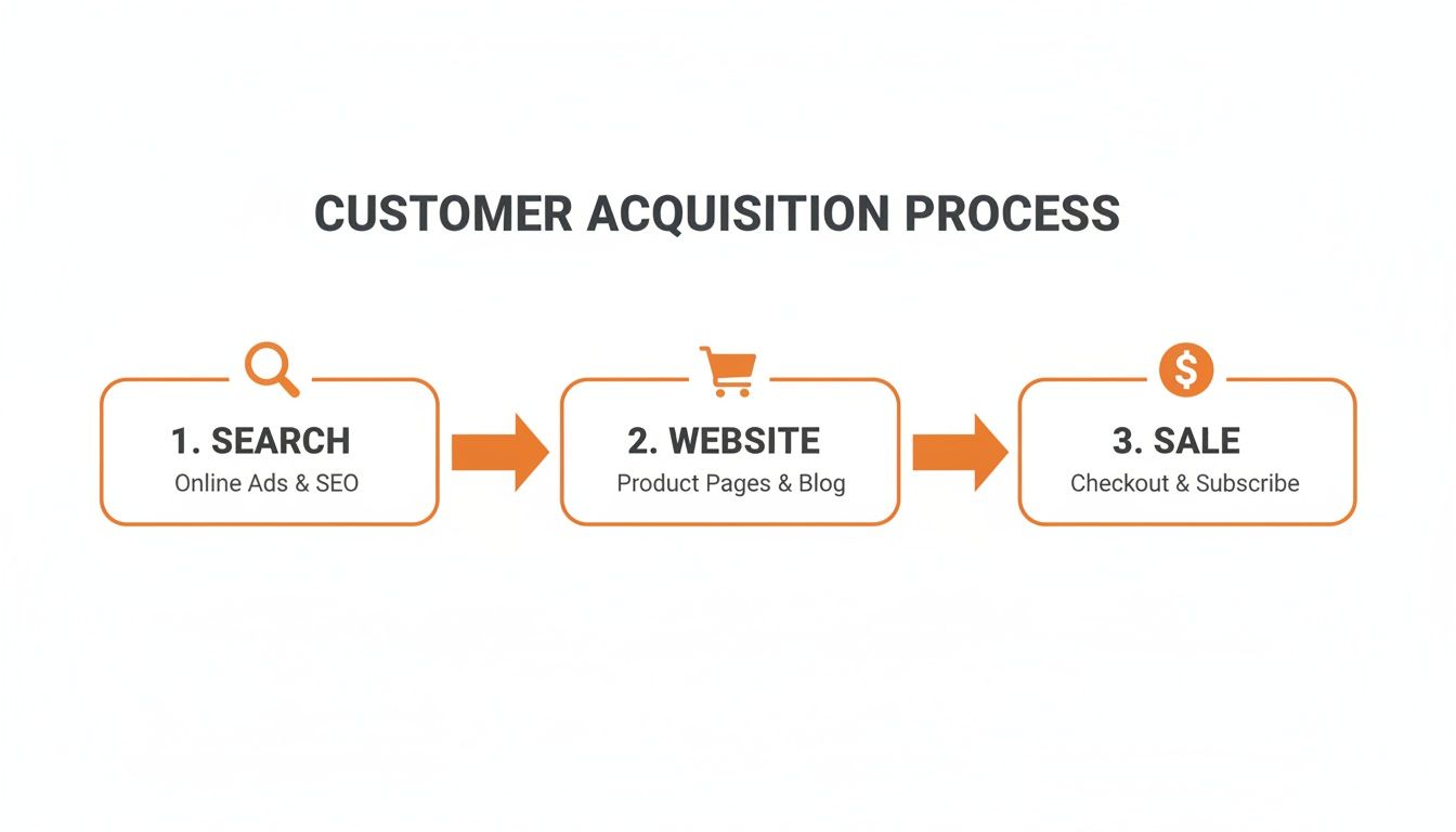 Flowchart illustrating the customer acquisition process steps: search, website, and sale with icons.