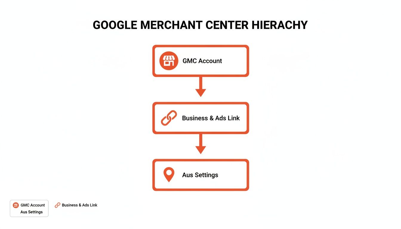 Google Merchant Center hierarchy diagram showing GMC Account, Business & Ads Link, and Aus Settings flow.